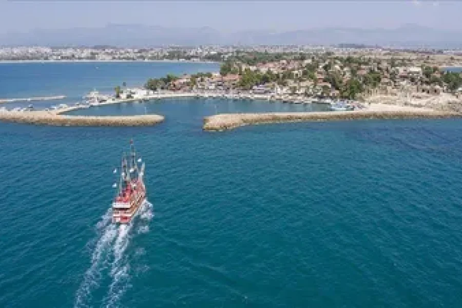 dolphin island boat trip side 16026585405f86a0ecc325b