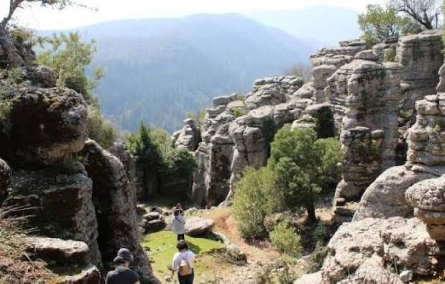Tazı Canyon