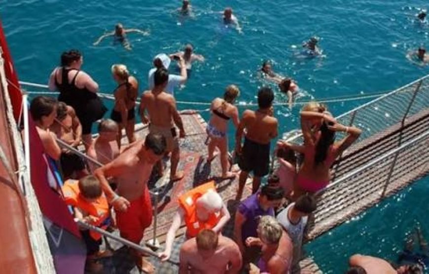 Delfın Islan Boat Tour