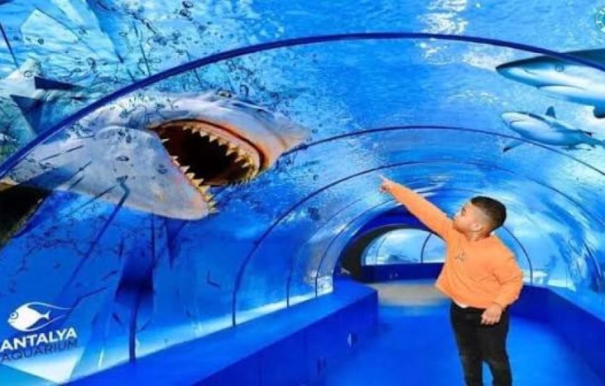 Antalya AQUARIUM