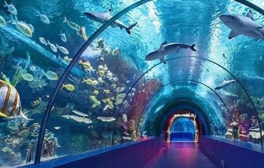 Antalya AQUARIUM