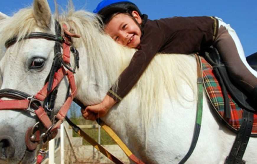 Horse Safari