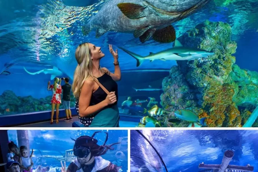 ANTALYA AQUARIUM
