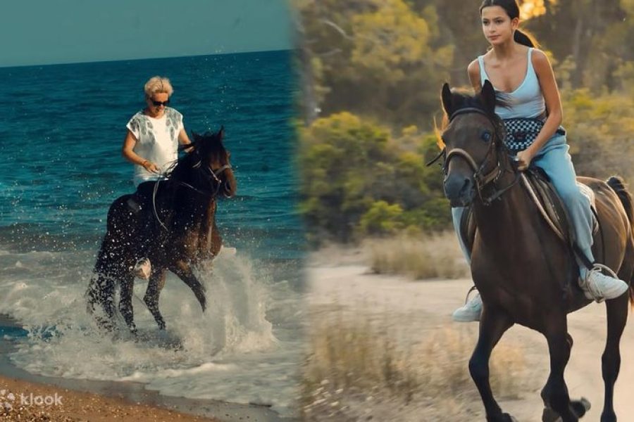 HORSE SAFARI